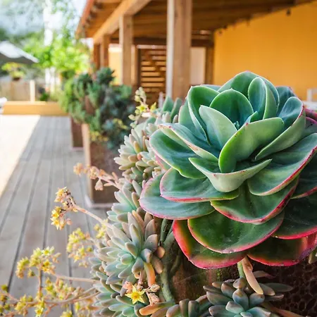 Luxury Albufeira Country house