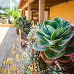 Luxury Albufeira Villa
